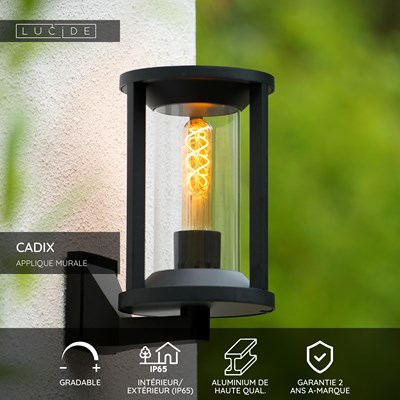 Lucide CADIX - Applique murale Intérieur/Extérieur - 1xE27 - IP65 - Noir